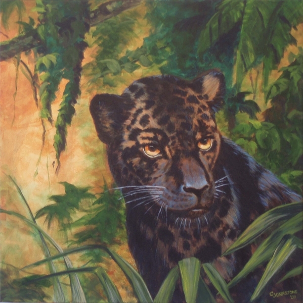 Black Jaguar