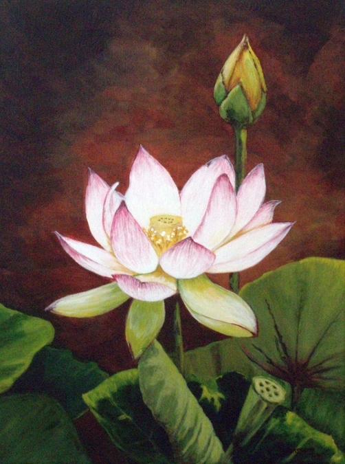 Lotus Flower