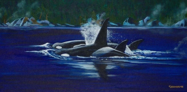 Orcas