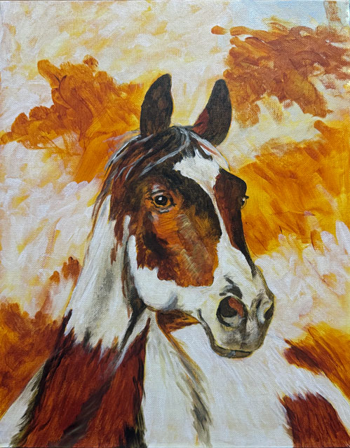 Painted Pony