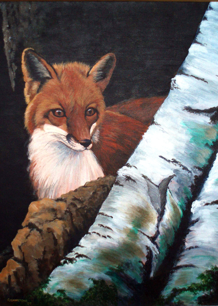 Red Fox