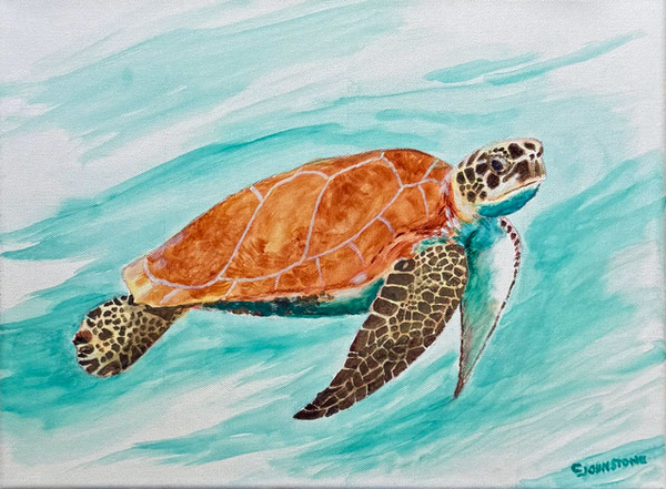 Sea Turtle