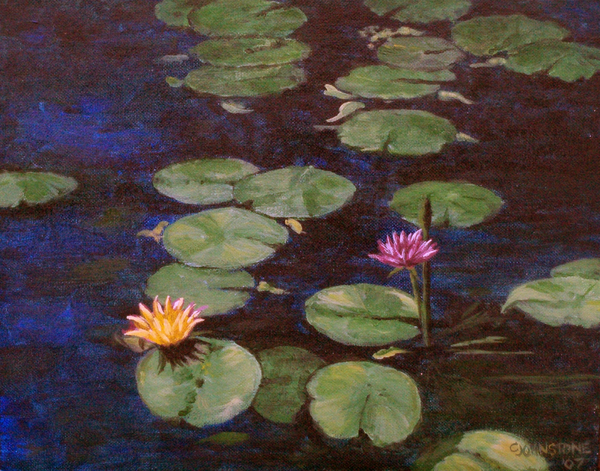 Water Lilies